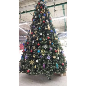 Ель стволовая  Кремлевская ( с белыми кочиками) 3 м 